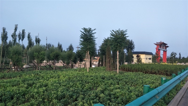 標(biāo)題：張家口經(jīng)開區(qū)腰站堡飲用水源地生態(tài)涵養(yǎng)綠化
瀏覽次數(shù)：2585
發(fā)表時(shí)間：2020-10-16