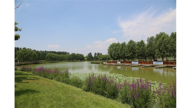 標題：包頭市民公園
瀏覽次數(shù)：1601
發(fā)表時間：2020-10-16