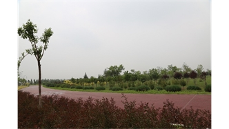 標(biāo)題：大青山南坡生態(tài)修復(fù)
瀏覽次數(shù)：2174
發(fā)表時(shí)間：2020-10-16
