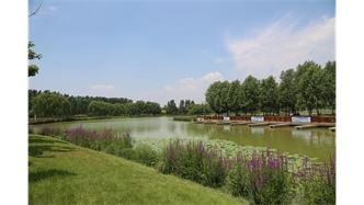 標題：包頭市民公園
瀏覽次數(shù)：1600
發(fā)表時間：2020-10-16