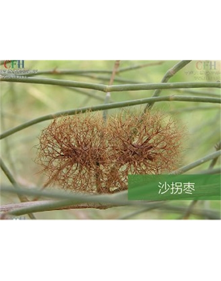 標題：名貴樹種
瀏覽次數(shù)：1483
發(fā)表時間：2020-10-17