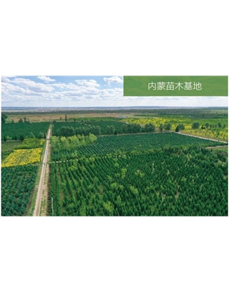 標(biāo)題：苗木基地
瀏覽次數(shù)：2034
發(fā)表時(shí)間：2020-10-17