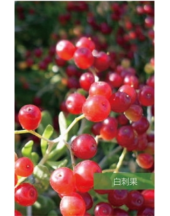 標(biāo)題：名貴樹種
瀏覽次數(shù)：1481
發(fā)表時間：2020-10-17