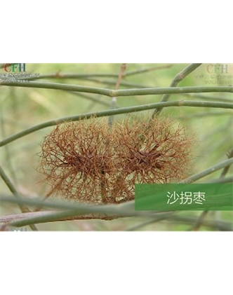 標(biāo)題：名貴樹(shù)種
瀏覽次數(shù)：1482
發(fā)表時(shí)間：2020-10-17