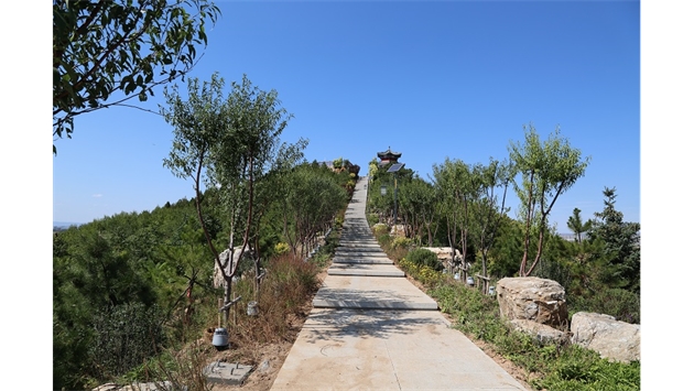 標(biāo)題：張家口太子山山體修復(fù)
瀏覽次數(shù)：18362
發(fā)表時(shí)間：2020-11-12